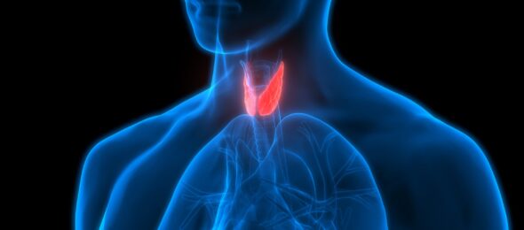 Заболевания щитовидной железы: симптомы и лечение - Амбулаторный центр г. Усть-Каменогорск